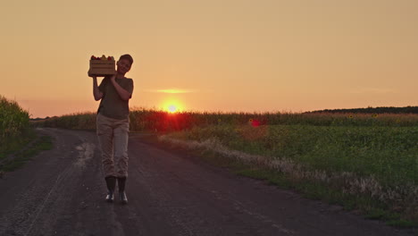 farmer carrying produce crate at sunset