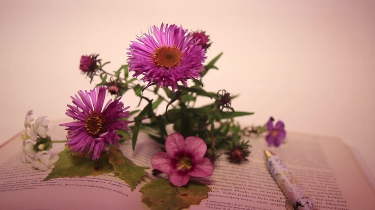 Primo piano di fiori e penna sul libro