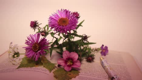 primer plano de flores y pluma en el libro