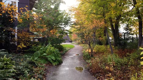 walking through neighborhood after rain on autumn