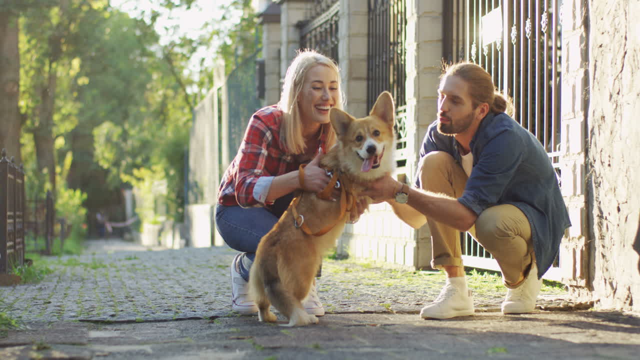 pareja joven agachada en la calle y acariciando a su perro corgi en un día soleado 2