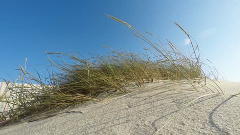 sand dunes