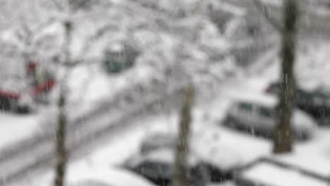 snow in city, focus on foreground snowflakes