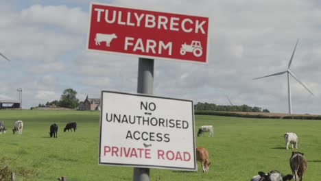 camera pans across tullybreck farm sign, revealing grazing cattle, wind turbines, and green fields under bright daylight in rural dundee, scotland