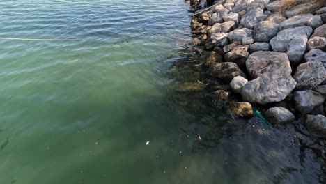 gentle waves lapping against a stone embankment