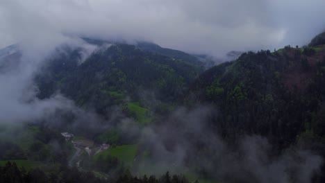 volando sobre un bosque en los dolomitas italianos
