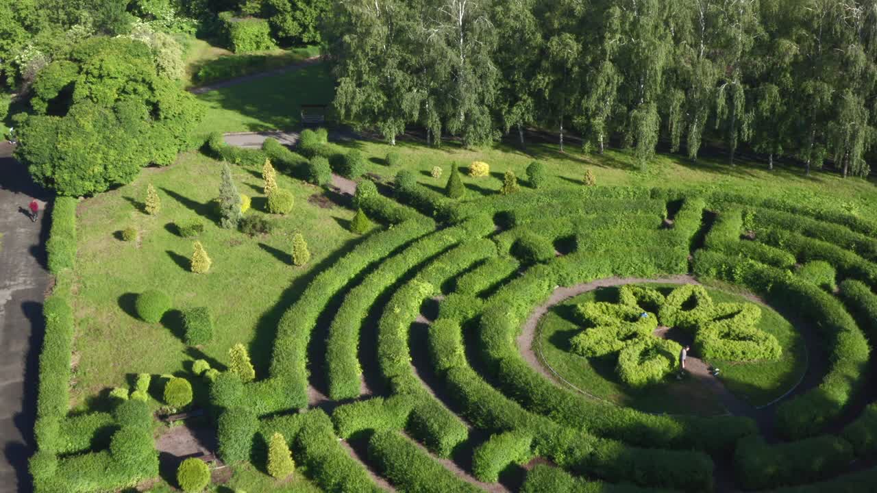 밝은 날 여름에 헤지 덤불의 풍경 미로 위의 드론 비행
