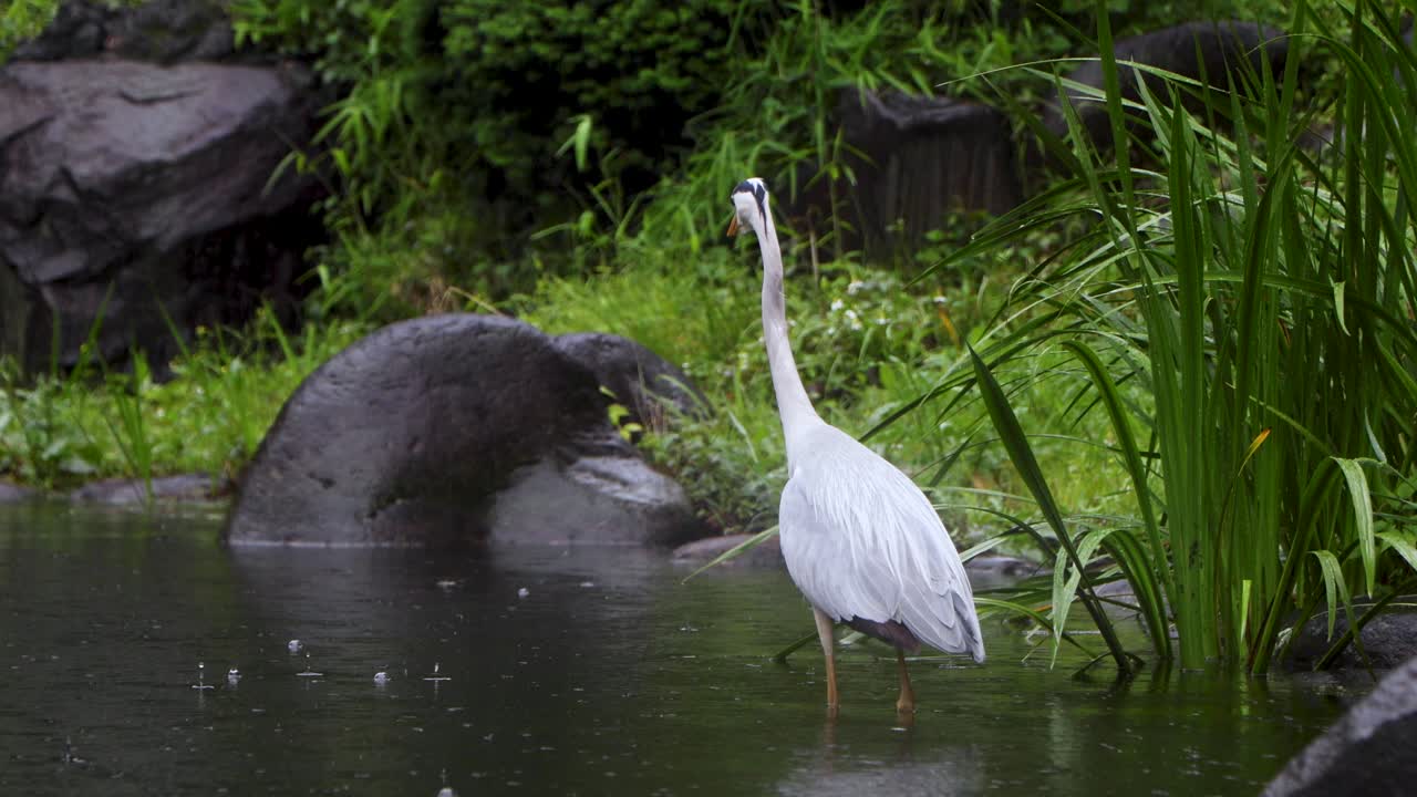 도쿄 최고의 전망