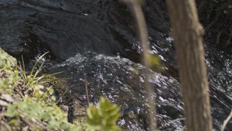 Crystal-clear-water-cascades-over-rick-rocks-in-forest