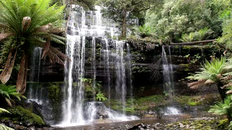 las cataratas russell en el parque nacional de mt field, tasmania