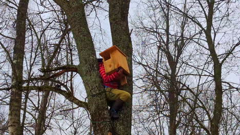 Installation-Eines-Hölzernen-Nistkastens-Für-Eulen,-Habichte-Oder-Falken-Hoch-Oben-In-Einem-Baum