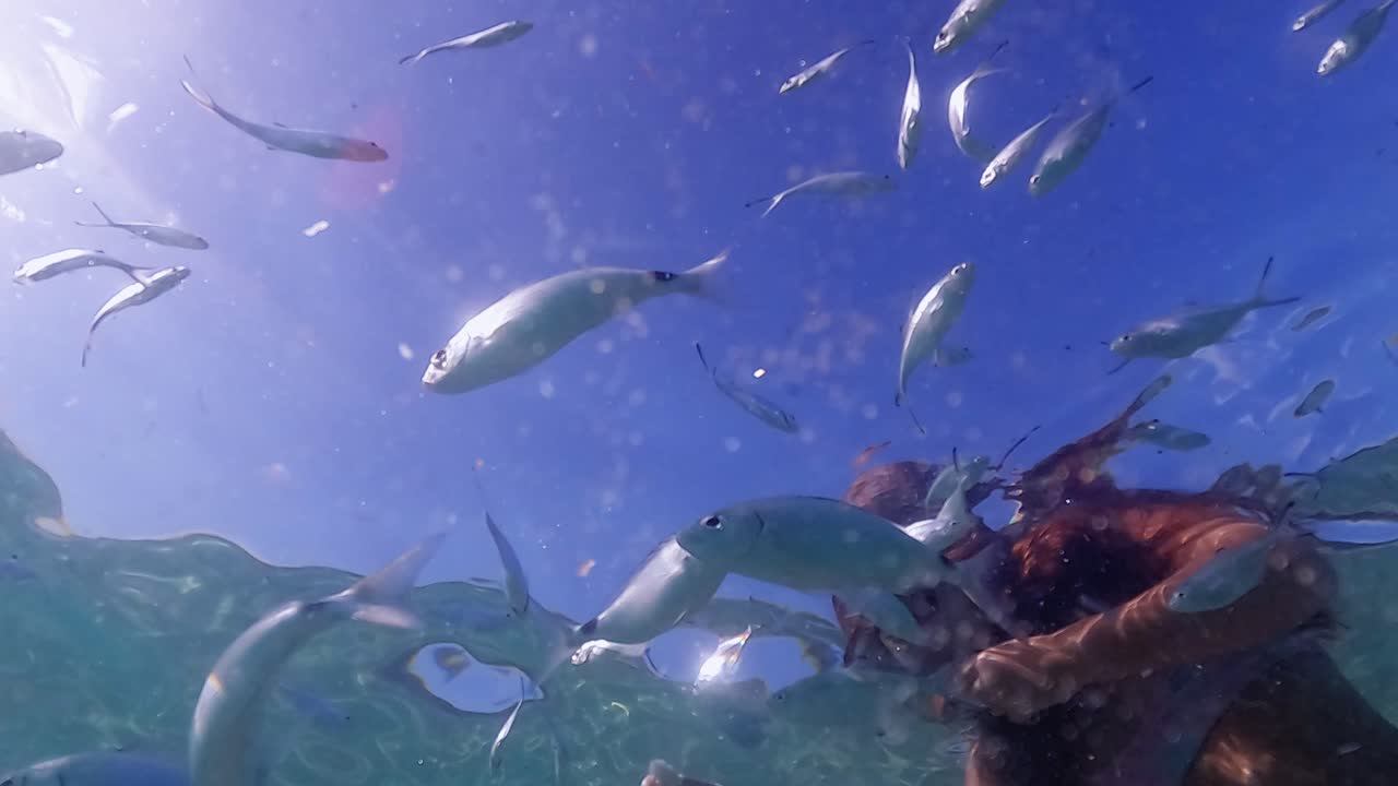 escena submarina de una linda niña pelirroja con máscara de buceo rodeada de una escuela de peces alimentándolos con pan