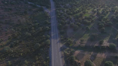 two way road surrounded by holm oak fields in los pedroches, cordoba