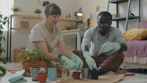 multiethnic couple repotting plants at home