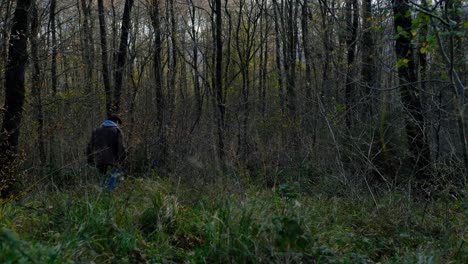 Mann-Geht-Durch-Den-Wald