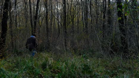 man walking forest