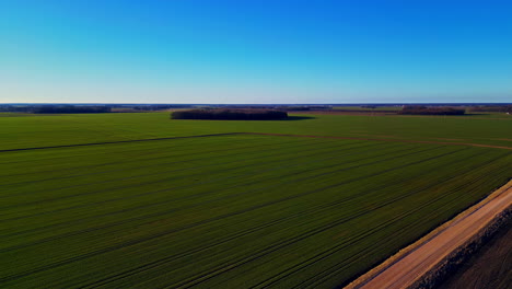 Minimalistische-Drohnenluftlandschaft-Bei-Sonnenuntergang-Mit-Bäumen-Auf-Grünen-Landwirtschaftlichen-Feldern