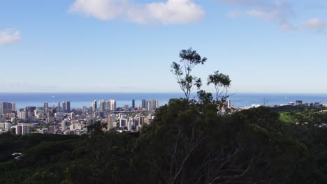 Imágenes-De-Drones-Ascendiendo-Por-Encima-De-Los-árboles-Mientras-Los-Pájaros-Pasan-Volando-Para-Revelar-La-Ciudad-De-Honolulu,-Hawaii,-En-La-Isla-De-Oahu,-Contra-El-Océano-Pacífico-Azul.