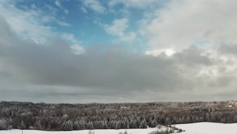 stunning aerial drone view of snowy winter forest under a dramatic cloudy sky with sunlight breaking through.