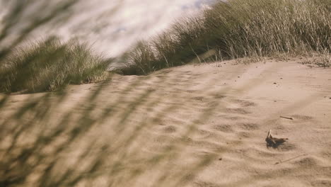 Sand-dunes-and-dune-grass-at-the-atlantic-coastline-in-Denmark