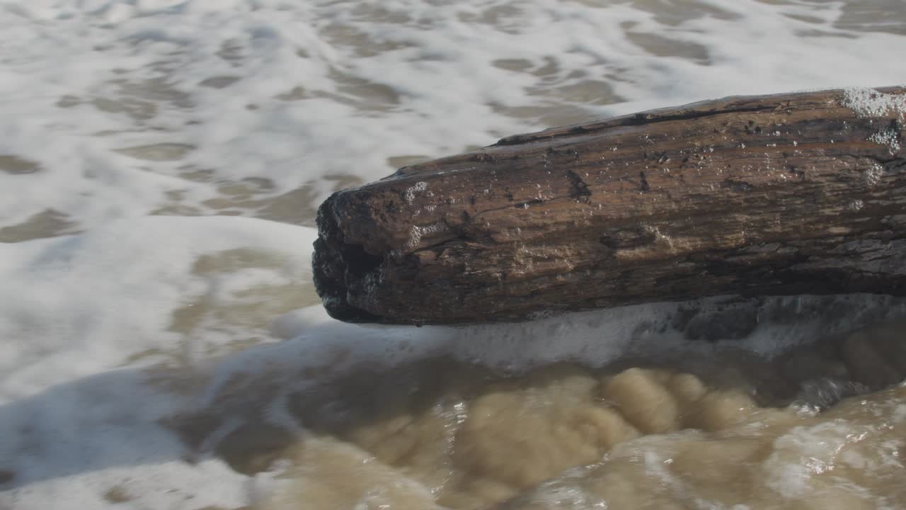 Ripresa dall'alto di acqua marina e schiuma bianca che si riversano su un vecchio tronco di legno sulla sabbia. Scena costiera naturale che mostra la potenza delle onde oceaniche sulla battigia
