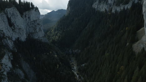 aerial ascending view between two rocky mountains covered in pine forest and a little river in the middle 4k