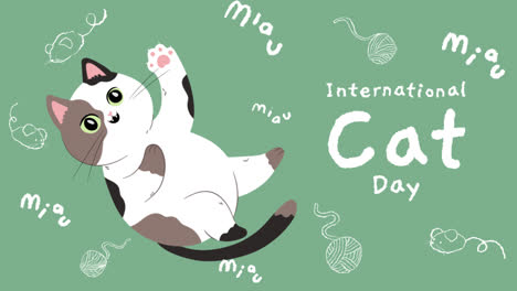 motion graphic of flat international cat day instagram stories collection