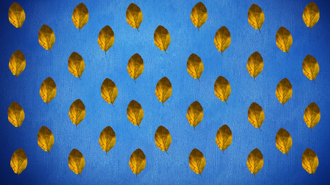 animación de filas de hojas amarillas de otoño sobre fondo azul