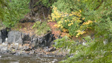 Droplets-of-water-coming-down-black-dramatic-stone-cliffs-to-fall-in-river