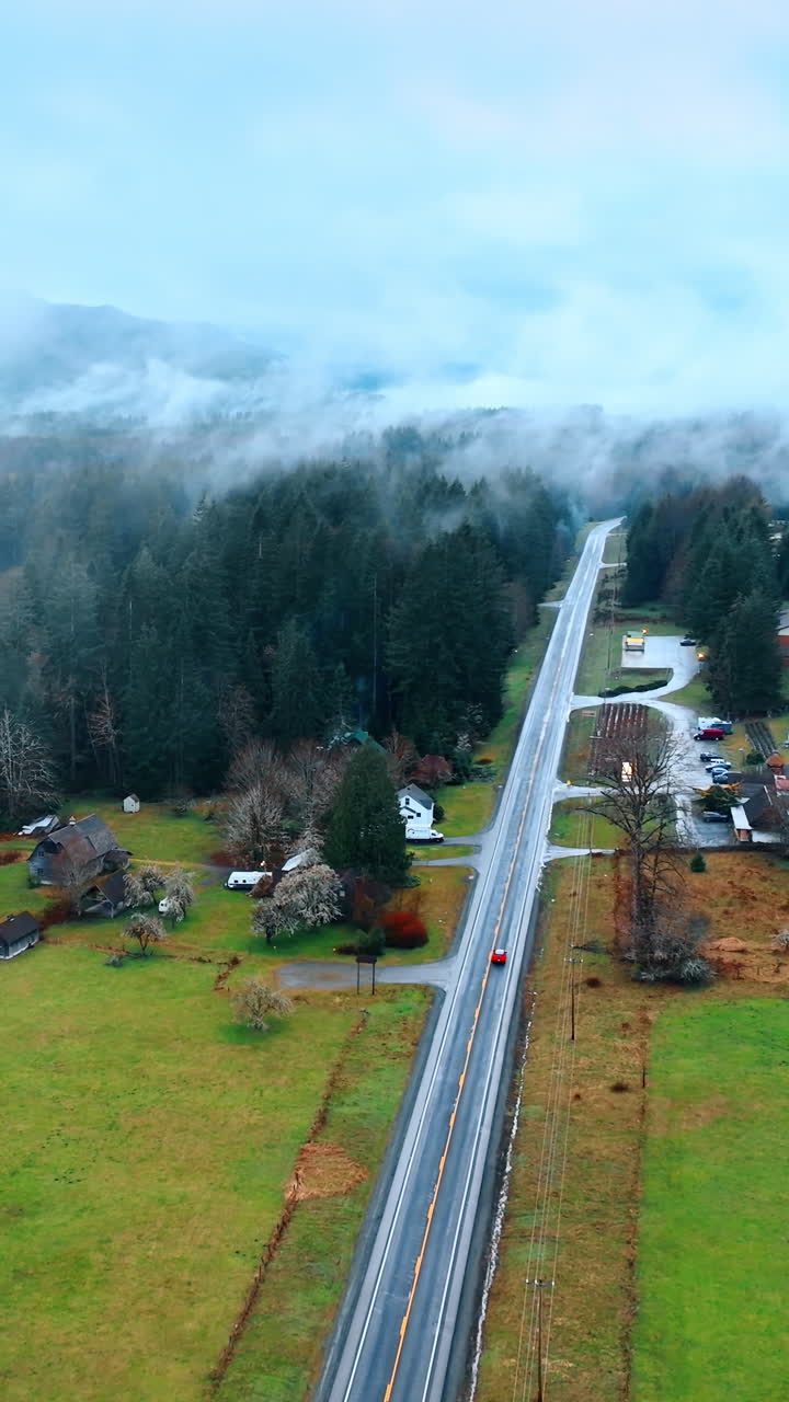 Beautiful woodland aerial shot. Mount Rainier forest landscapes. Vertical video