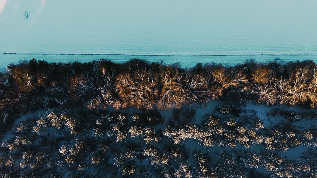 A unique top-down drone shot over South Georgia's treeline transitioning to a vast snow-covered field. Captured during a rare snowfall, this tranquil movement highlights winter's beauty.