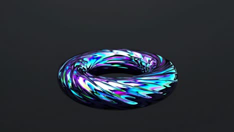 abstract holographic torus