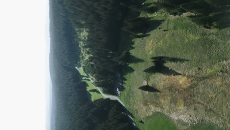 Vertical-drone-shot-of-mountain-landscape-with-meadows-and-forests