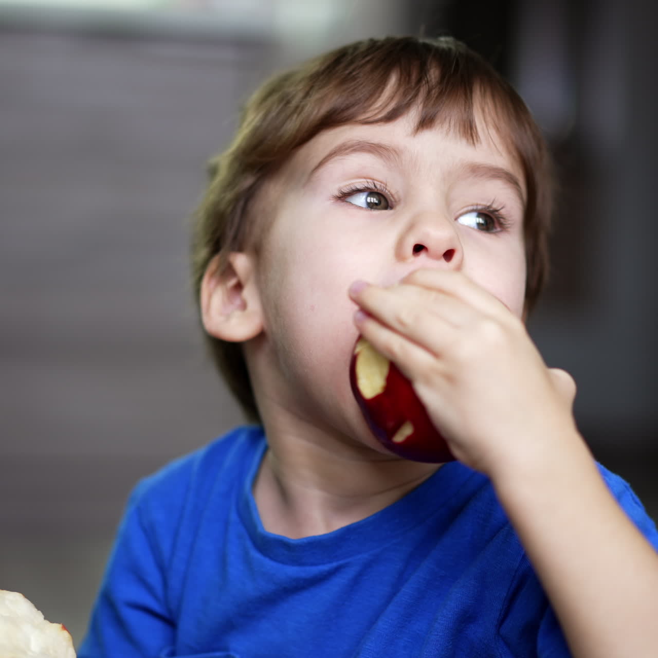 Little boy holding apple close to camera. Kid takes a bite from apples in both hands. Close up. Blurred backdrop
