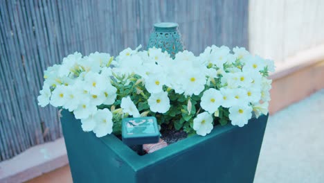 planting of petunias in a large black pot with a light and a decoration beside it.