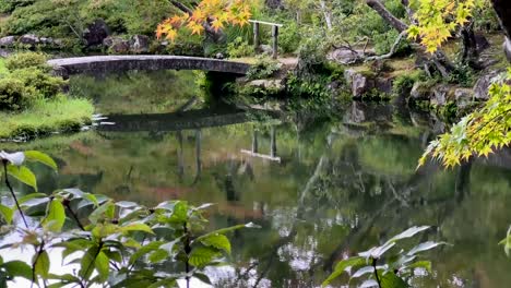 beautiful fall colors