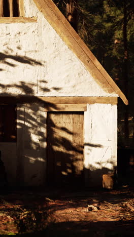 a small wooden cabin in a forest