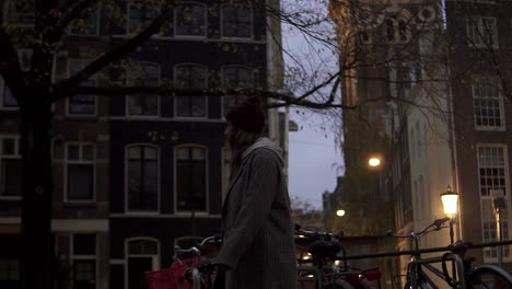 woman silhouette walking alone in a street at night with dutch houses background