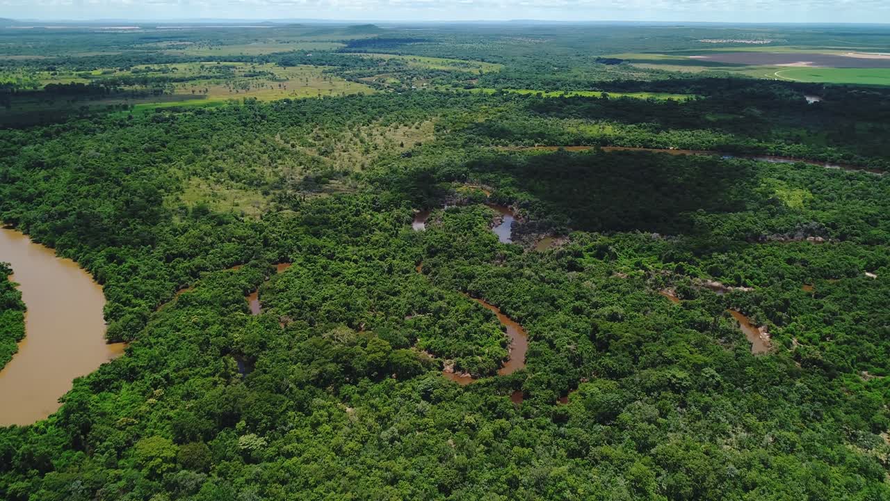 Caravelas River estuary in Caravelas Bahia Brazil with mangrove forest and tidal channels including species Rhizophora mangle, Avicennia schaueriana and Laguncularia racemosa, drone aerial wide shot