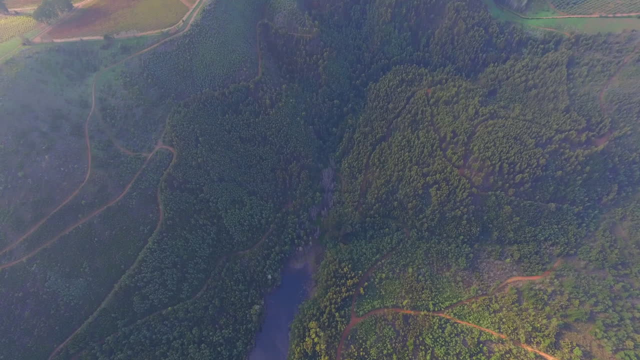y hectáreas de tierras de cultivo