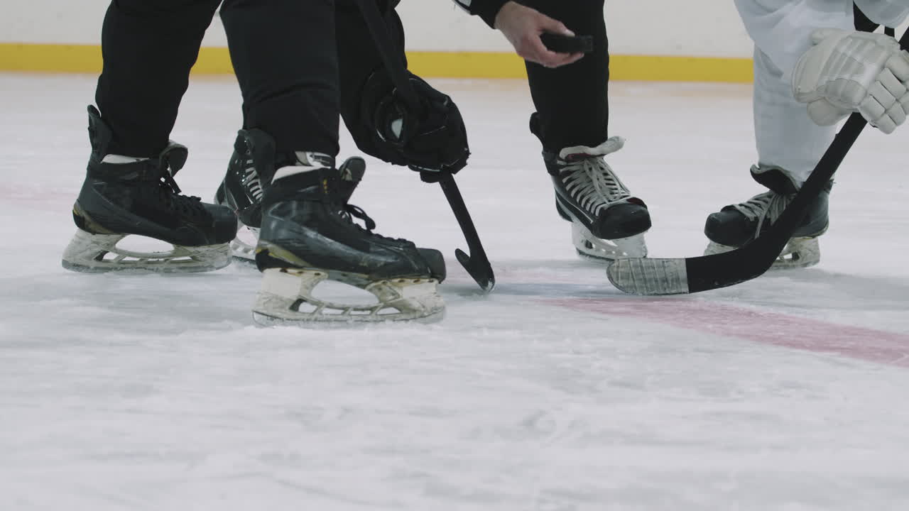 Face-Off During Hockey Game
