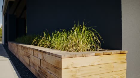 wooden planter with grass
