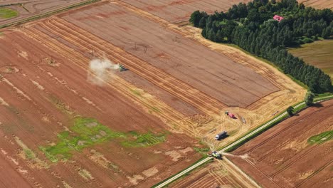 Aerial view of grain harvesters working in large rural field at daytime
