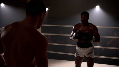 boxers competing in a ring during a match