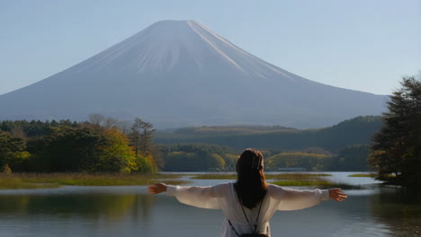 person admiring the view of mount fuji across a lake