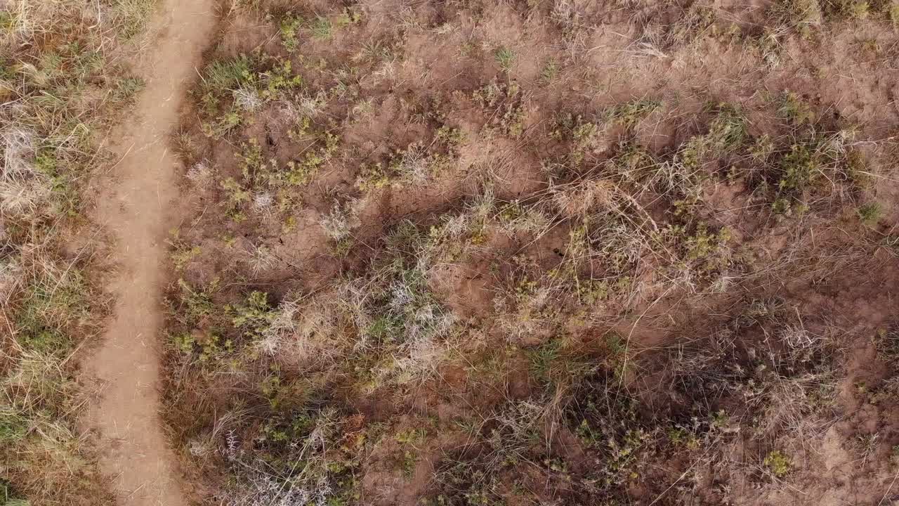 drones caminos laterales sobre dos ciclistas de montaña en una sola pista en un día soleado