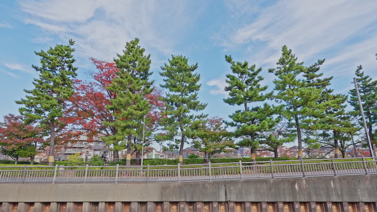 A wide shot of a river embankment lined with green pine trees and patches of red autumn foliage against a cloudy blue sky