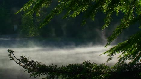 El-Vapor-Se-Eleva-Desde-El-Lago-Trillium,-Que-Está-Rodeado-De-Pinos-Cerca-De-Mt-Hood-En-Oregon-6