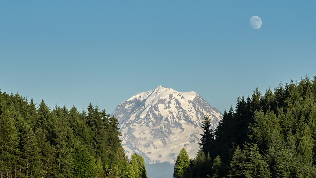 The full moon rises behind Mount Rainier, framed by dense evergreen forest under a clear sky—captured for use in scenic timelapse footage.