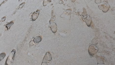 shoe prints scattered on sandy beach